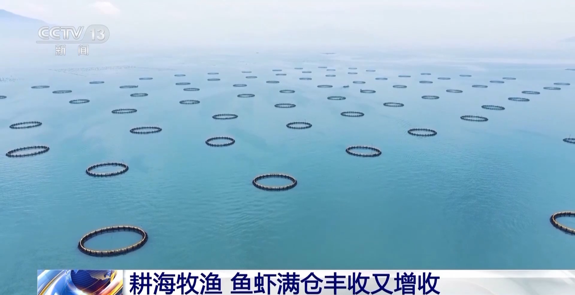 明波水产